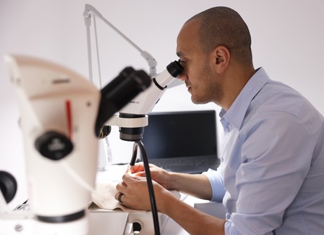 Exclusive IGI Training Sessions at Jewels of the World 2026